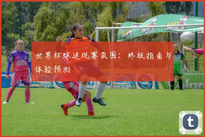 世界杯球迷观赛氛围：终极指南与体验预测
